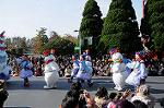 Dcim7344/DSC_6538