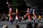 Dcim7344/DSC_6558