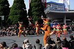 Dcim7344/DSC_6587