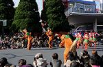 Dcim7344/DSC_6588