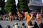 Dcim7344/DSC_6589