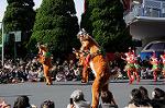 Dcim7344/DSC_6590