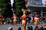 Dcim7344/DSC_6594