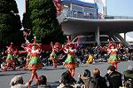 Dcim7344/DSC_6599