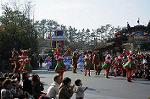 Dcim7344/DSC_6617