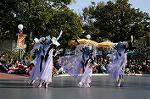 Dcim7346/DSC_6865