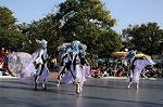 Dcim7346/DSC_6870