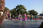 Dcim7347/DSC_6933