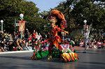 Dcim7347/DSC_7000