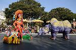 Dcim7347/DSC_7007
