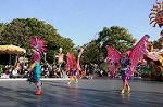 Dcim7347/DSC_7010