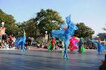 Dcim7347/DSC_7033