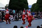 Dcim7351/DSC_7496
