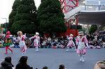 Dcim7351/DSC_7518