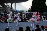 Dcim7351/DSC_7534