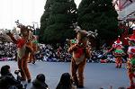 Dcim7352/DSC_7638