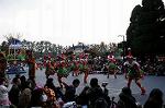 Dcim7352/DSC_7641