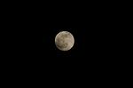 Dcim7363/DSC_9101