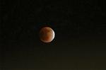 Dcim7363/DSC_9195