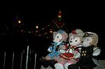 Dcim7365/DSC_5459