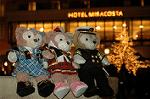 Dcim7366/DSC_5620