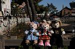 Dcim7368/DSC_9527