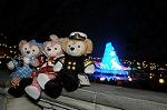 Dcim7372/DSC_0079