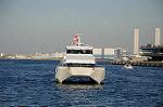 Dcim7376/DSC_0735