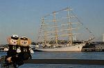 Dcim7377/DSC_0775