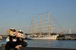 Dcim7377/DSC_0778