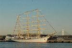 Dcim7383/DSC_8978