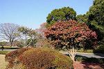 Dcim7386/DSC_1554