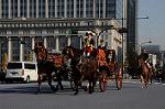 Dcim7386/DSC_1573