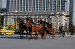Dcim7386/DSC_1585