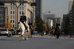 Dcim7386/DSC_1599