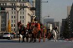 Dcim7386/DSC_1608