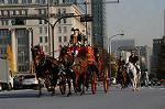 Dcim7386/DSC_1609