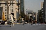 Dcim7386/DSC_1637