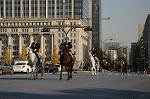 Dcim7386/DSC_1644