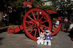 Dcim7391/DSC_1855