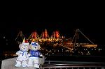 Dcim7394/DSC_2235