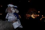 Dcim7397/DSC_2643