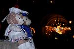 Dcim7397/DSC_2644