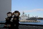 Dcim7398/DSC_2772