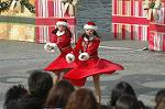 Dcim7404/DSC_6348