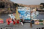Dcim7408/DSC_3140
