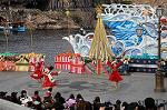 Dcim7408/DSC_3151