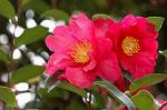 Dcim7420/DSC_6898