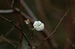 Dcim7420/DSC_6941