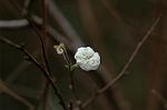Dcim7420/DSC_6943